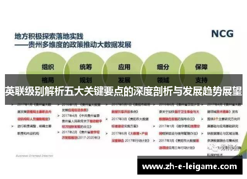 英联级别解析五大关键要点的深度剖析与发展趋势展望