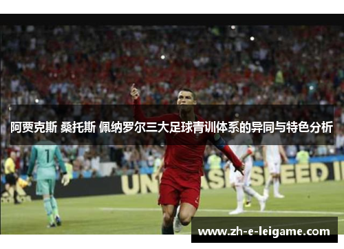 阿贾克斯 桑托斯 佩纳罗尔三大足球青训体系的异同与特色分析